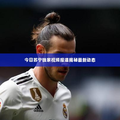 今日苏宁独家视频报道揭秘最新动态