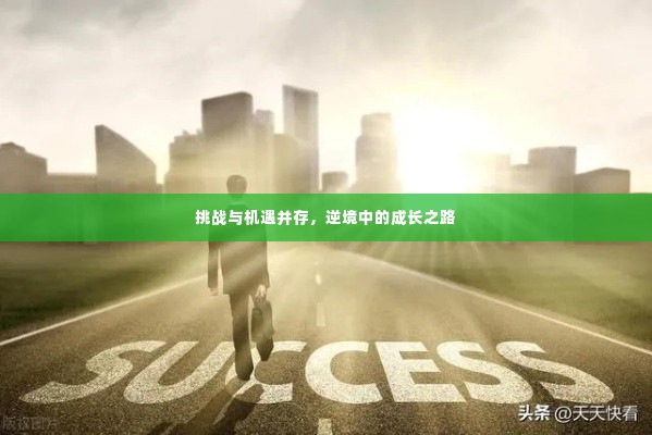 挑战与机遇并存，逆境中的成长之路