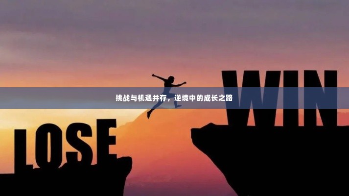 挑战与机遇并存,逆境中的成长之路