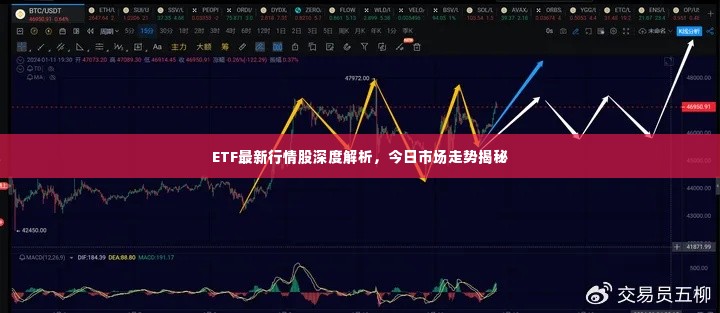 ETF最新行情股深度解析,今日市场走势揭秘