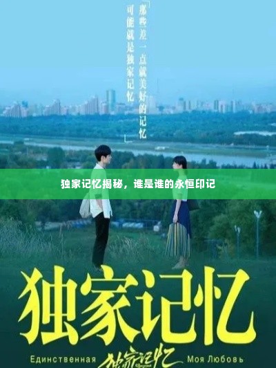独家记忆揭秘，谁是谁的永恒印记
