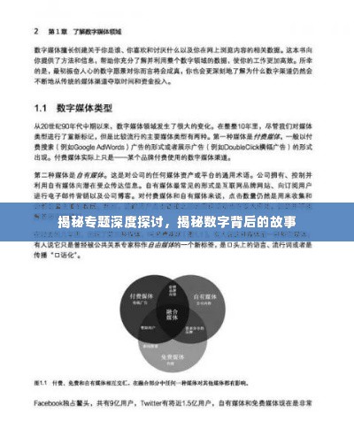 揭秘专题深度探讨,揭秘数字背后的故事