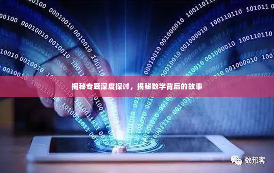 揭秘专题深度探讨,揭秘数字背后的故事