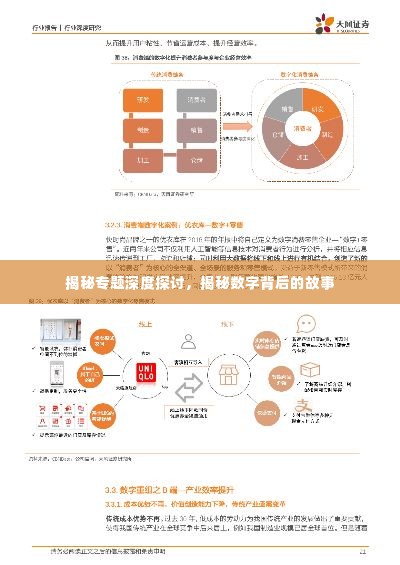 揭秘专题深度探讨,揭秘数字背后的故事