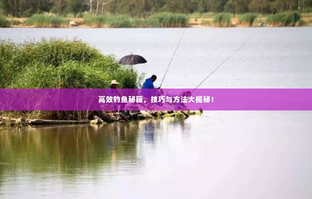 高效钓鱼秘籍,技巧与方法大揭秘!