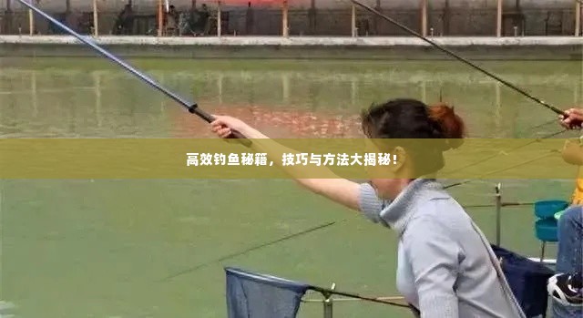 高效钓鱼秘籍,技巧与方法大揭秘!