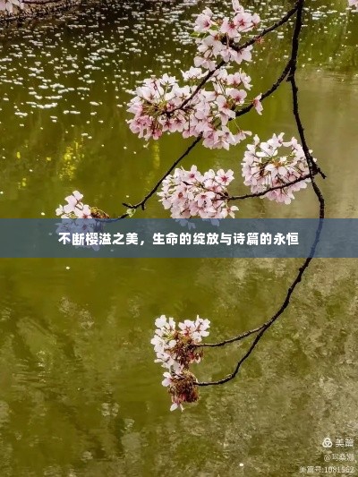 飞珠溅玉 第2页