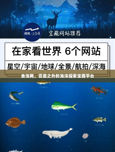 鱼泡网,百度之外的海洋探索宝藏平台