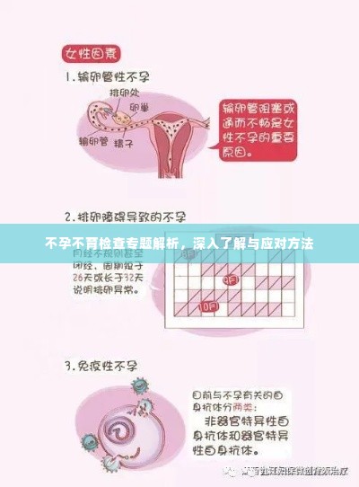 不孕不育检查专题解析,深入了解与应对方法