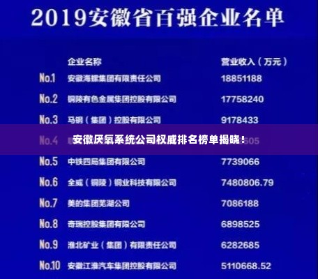 安徽厌氧系统公司权威排名榜单揭晓!