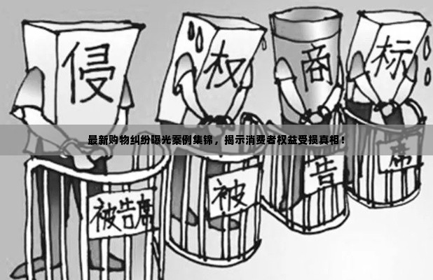 最新购物纠纷曝光案例集锦,揭示消费者权益受损真相!