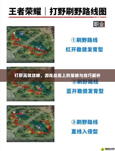 打野高效攻略，游戏战场上的策略与技巧解析