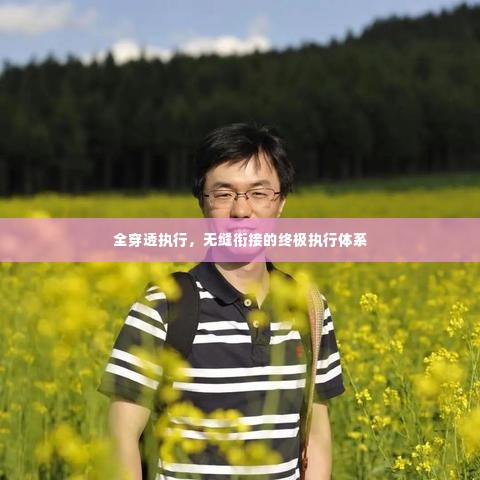 全穿透执行,无缝衔接的终极执行体系
