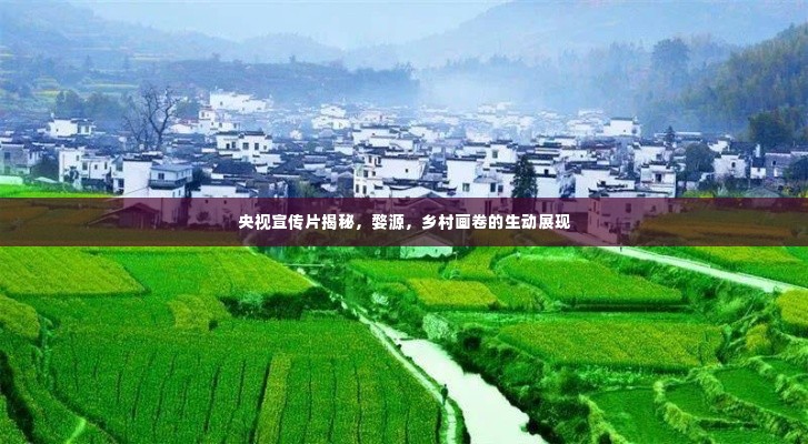 央视宣传片揭秘,婺源,乡村画卷的生动展现