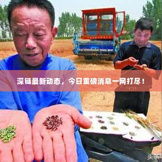 深链最新动态,今日重磅消息一网打尽!