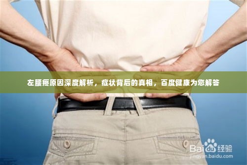 左腰疼原因深度解析,症状背后的真相,百度健康为您解答