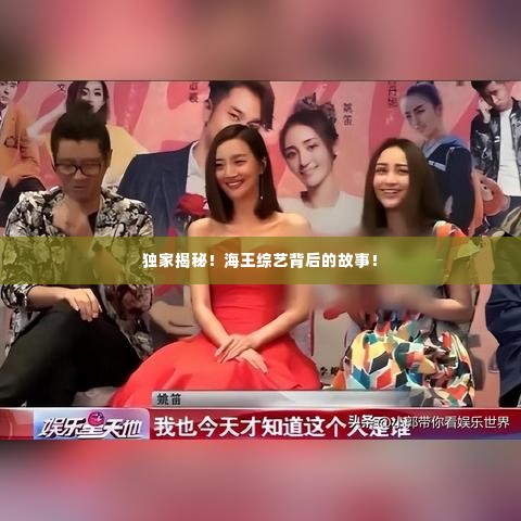 独家揭秘!海王综艺背后的故事!