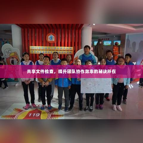 共享文件检查,提升团队协作效率的秘诀所在