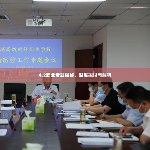 4.2职业专题揭秘,深度探讨与解析