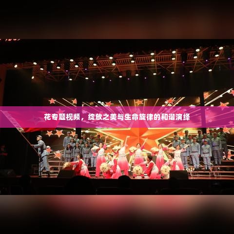花专题视频,绽放之美与生命旋律的和谐演绎