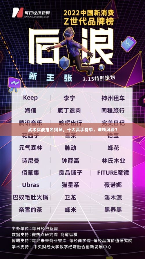 武术实战排名揭秘,十大高手榜单,谁领风骚?