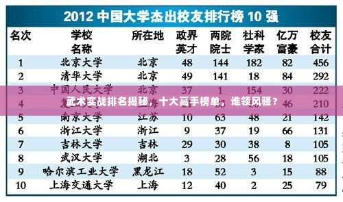 武术实战排名揭秘,十大高手榜单,谁领风骚?