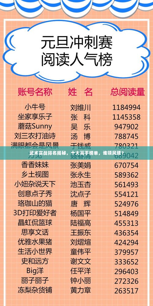 武术实战排名揭秘,十大高手榜单,谁领风骚?