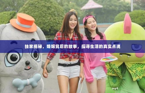 独家揭秘,婚姻背后的故事,探寻生活的真实点滴