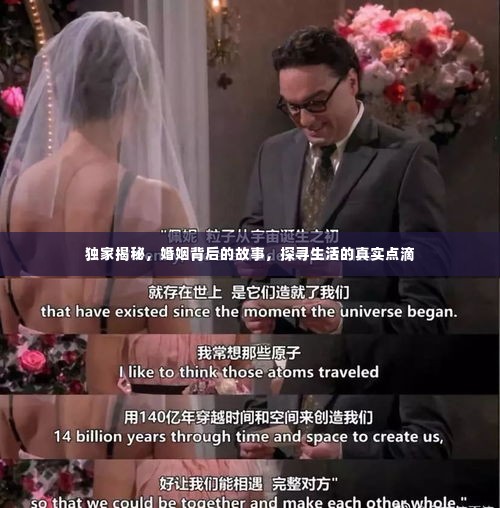 独家揭秘,婚姻背后的故事,探寻生活的真实点滴