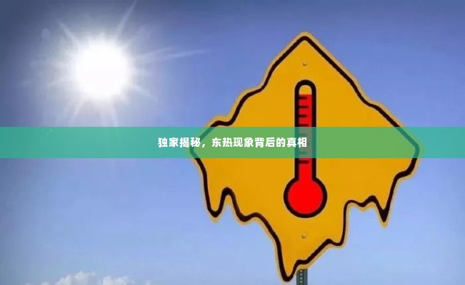 独家揭秘,东热现象背后的真相