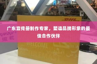 广东宣传册制作专家,塑造品牌形象的最佳合作伙伴