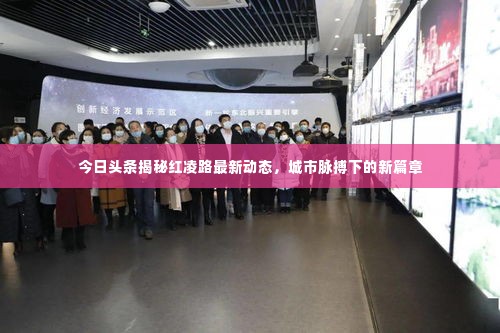 今日头条揭秘红凌路最新动态,城市脉搏下的新篇章