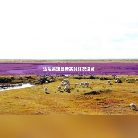 达达高速最新实时路况速览