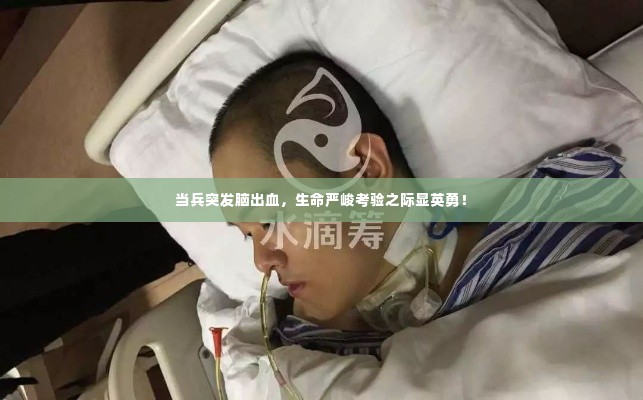 雍容尔雅 第2页