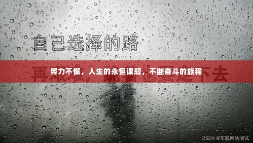 努力不懈,人生的永恒课题,不断奋斗的旅程