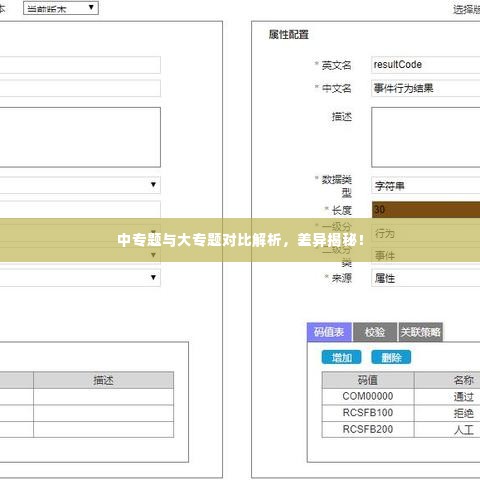 中专题与大专题对比解析,差异揭秘!