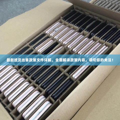 最新统货出售政策文件详解,全面解读政策内容,吸引你的关注!
