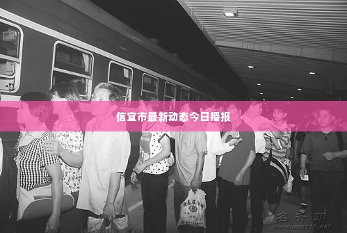 信宜市最新动态今日播报