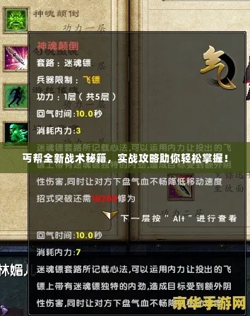 丐帮全新战术秘籍,实战攻略助你轻松掌握!