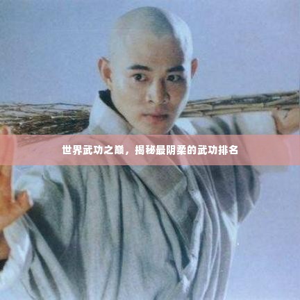 世界武功之巅,揭秘最阴柔的武功排名