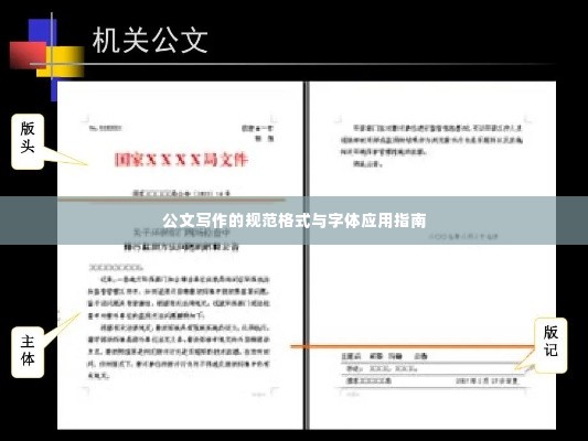 公文写作的规范格式与字体应用指南