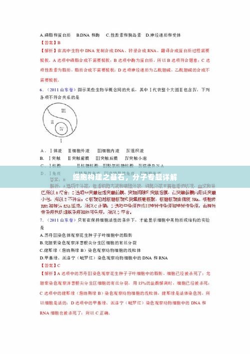 细胞构建之基石,分子专题详解