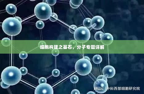 细胞构建之基石,分子专题详解