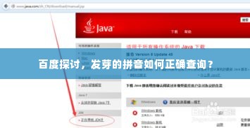 百度探讨,发芽的拼音如何正确查询?