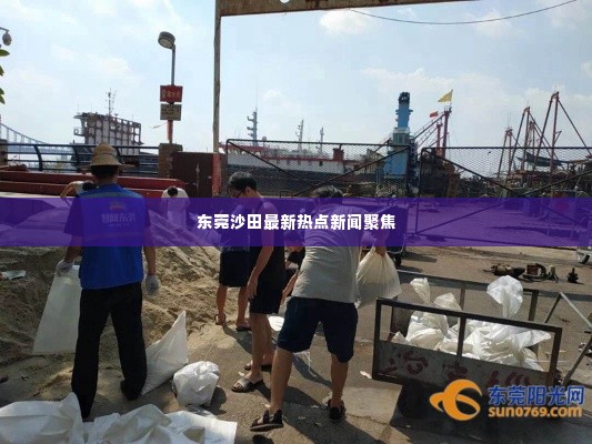 东莞沙田最新热点新闻聚焦