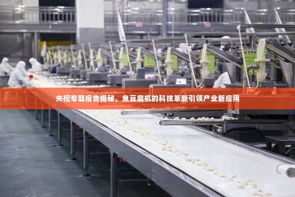 央视专题报告揭秘,鱼豆腐机的科技革新引领产业新应用