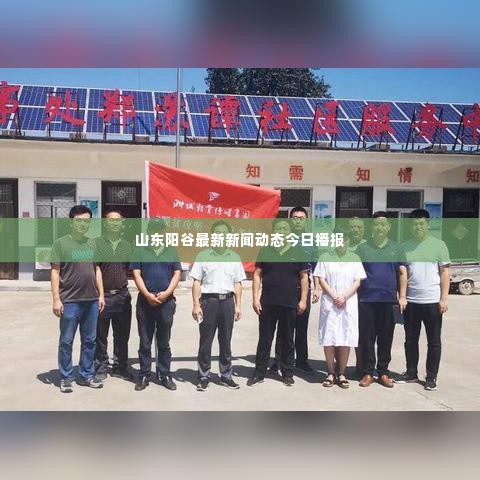 山东阳谷最新新闻动态今日播报