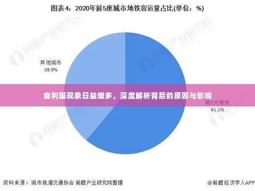 食利国现象日益增多，深度解析背后的原因与影响