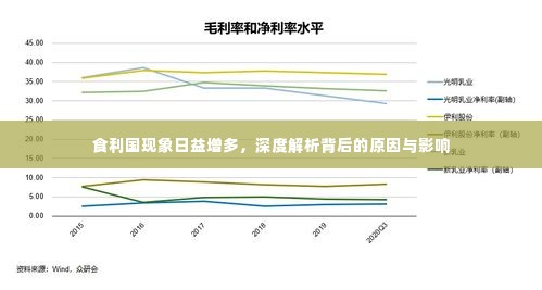 食利国现象日益增多,深度解析背后的原因与影响