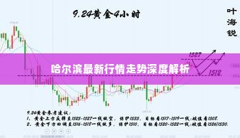 哈尔滨最新行情走势深度解析